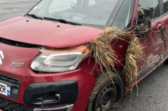 Porte arriere gauche CITROEN C3 PICASSO