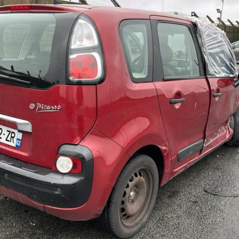 Porte arriere gauche CITROEN C3 PICASSO Photo n°8