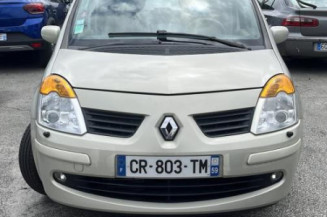 Porte arriere gauche RENAULT MODUS