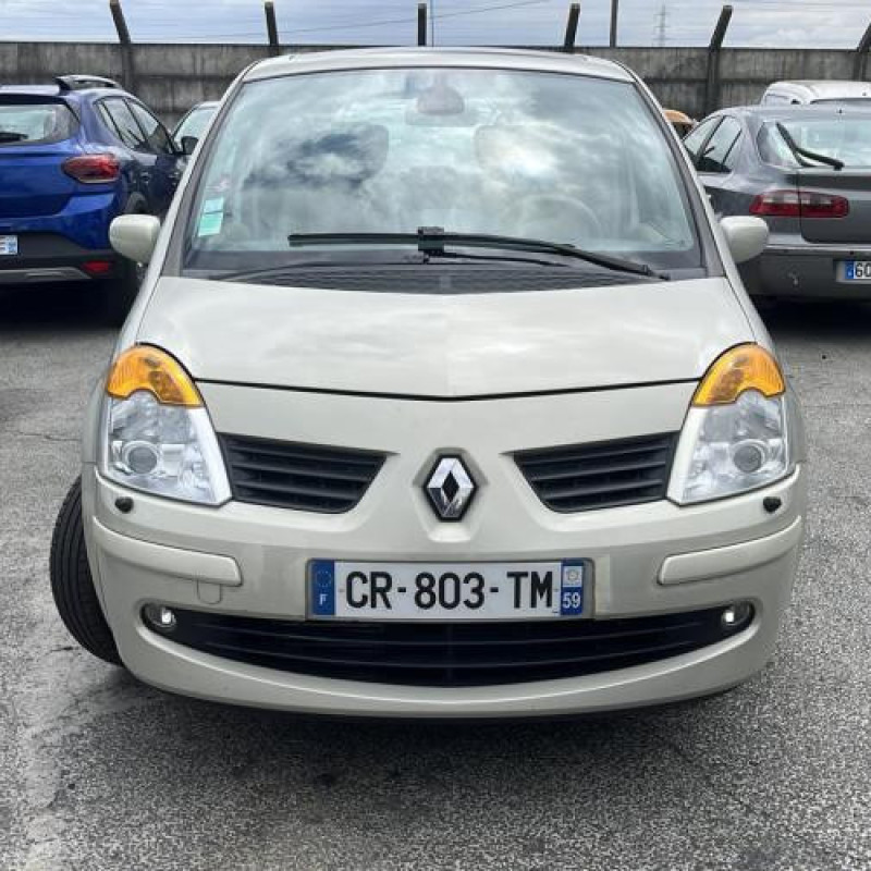 Porte arriere gauche RENAULT MODUS Photo n°8