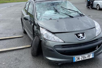 Poignee interieur arriere gauche PEUGEOT 207