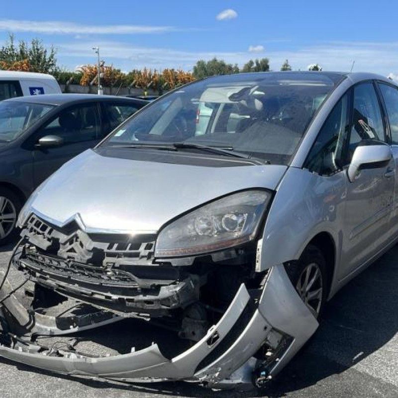 Porte arriere gauche CITROEN C4 PICASSO 1 Photo n°20