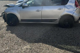 Arret de porte arriere gauche RENAULT SCENIC 3