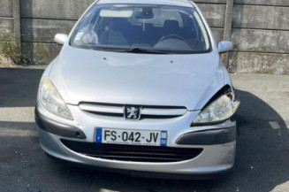 Debitmetre PEUGEOT 307