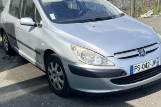 Debitmetre PEUGEOT 307