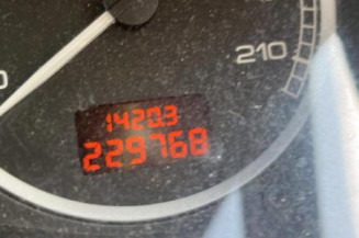 Debitmetre PEUGEOT 307