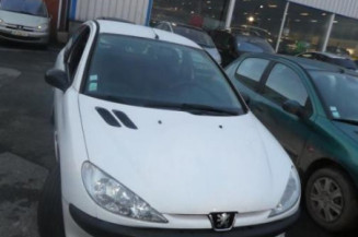 Poignee porte avant gauche PEUGEOT 206