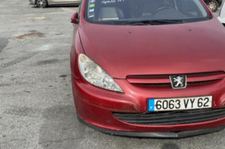 Custode avant gauche (porte) PEUGEOT 307