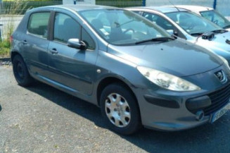 Malle/Hayon arriere PEUGEOT 307