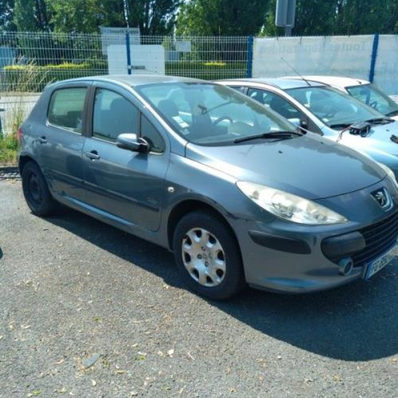 Malle/Hayon arriere PEUGEOT 307 Photo n°18