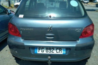 Malle/Hayon arriere PEUGEOT 307