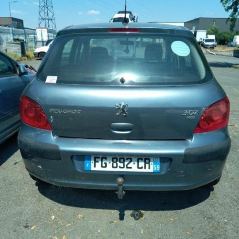 Malle/Hayon arriere PEUGEOT 307 Photo n°19