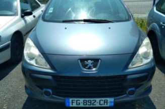 Arret de porte avant gauche PEUGEOT 307