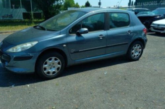 Arret de porte avant gauche PEUGEOT 307