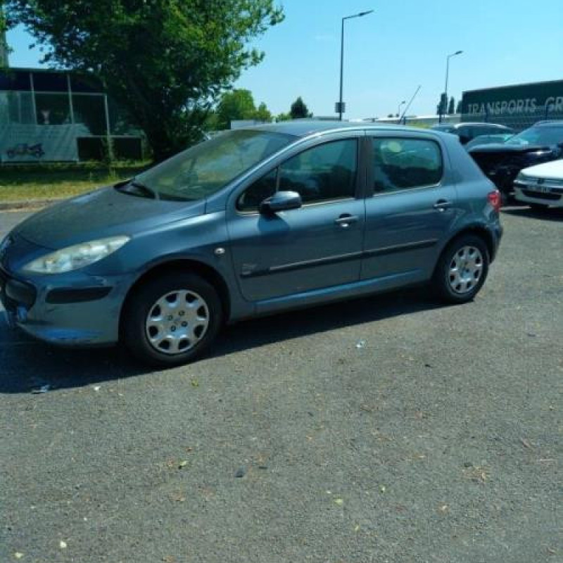 Arret de porte avant gauche PEUGEOT 307 Photo n°9