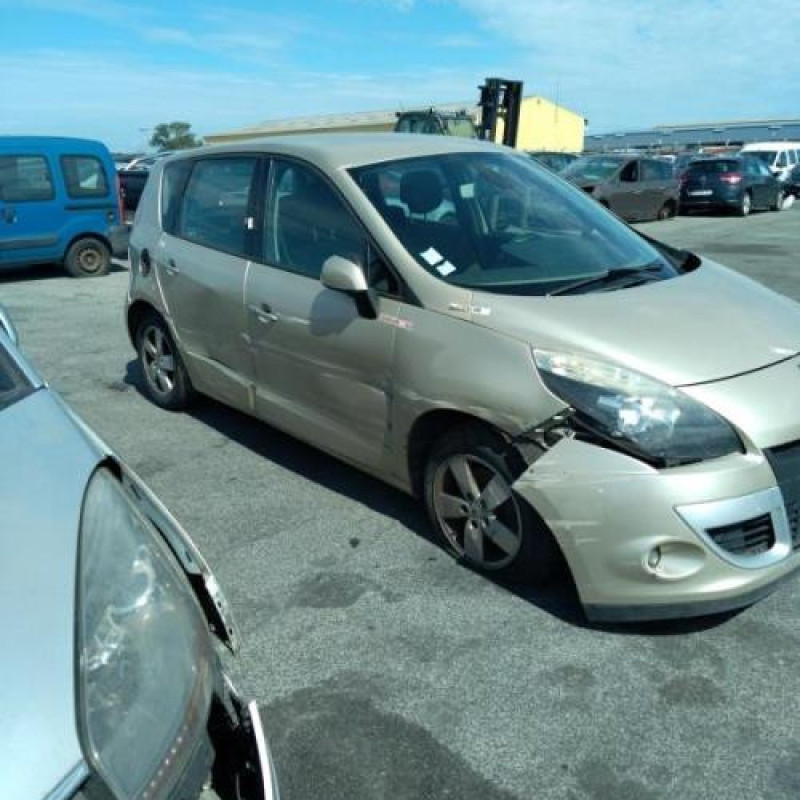 Capot RENAULT SCENIC 3 Photo n°14