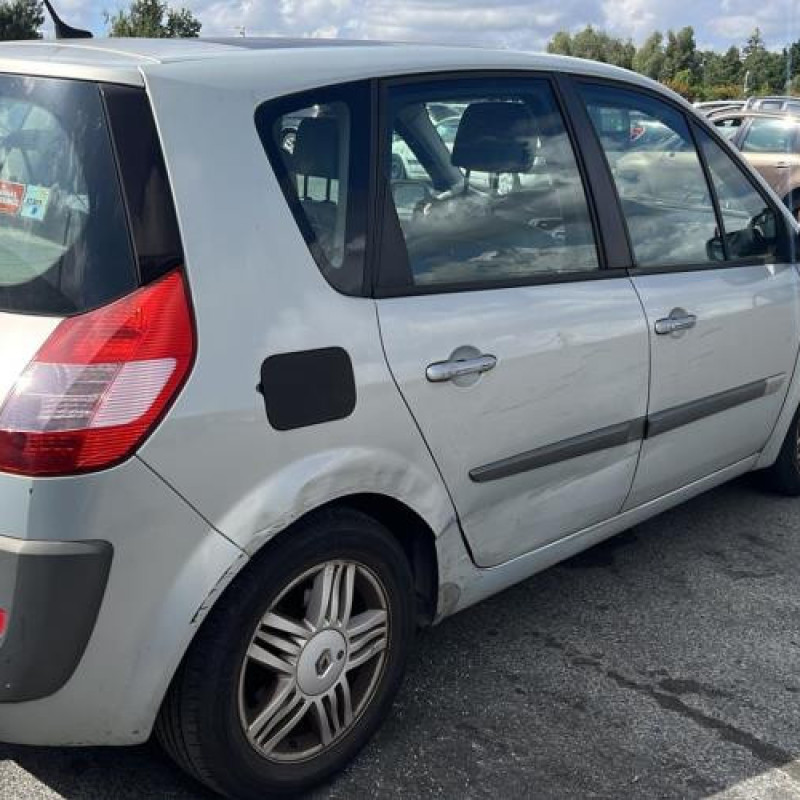 Baguette de porte arriere droite RENAULT SCENIC 2 Photo n°9