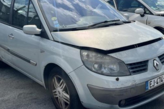 Porte arriere gauche RENAULT SCENIC 2