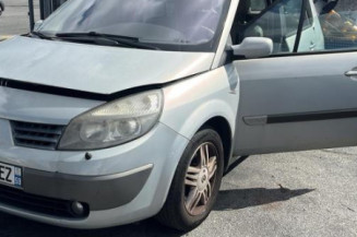 Porte arriere gauche RENAULT SCENIC 2