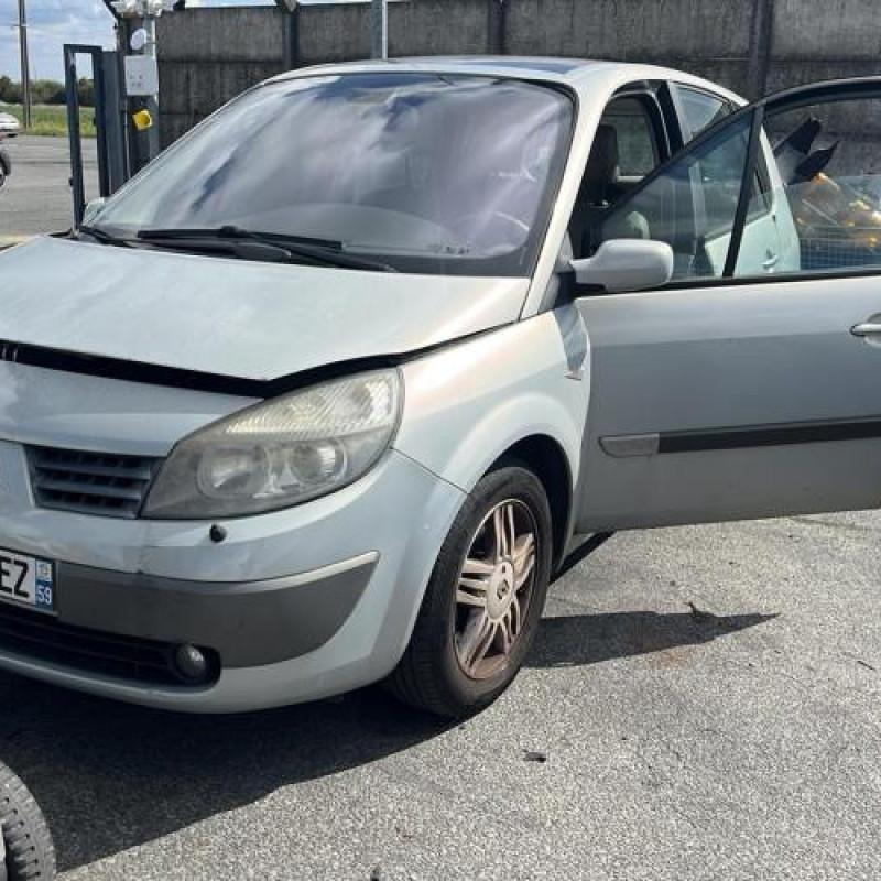 Porte arriere gauche RENAULT SCENIC 2 Photo n°9