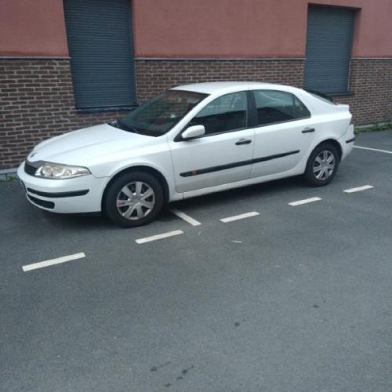 Porte avant gauche RENAULT LAGUNA 2 Photo n°9