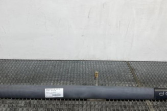 Baguette de porte avant droite RENAULT CLIO 2