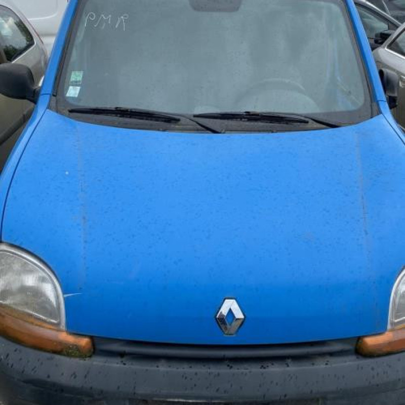 Poignee porte avant gauche RENAULT KANGOO 1 Photo n°4