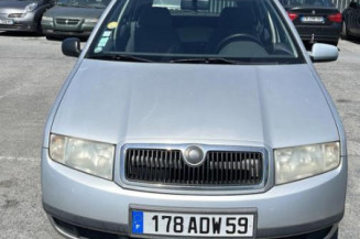 Pare soleil droit SKODA FABIA 1