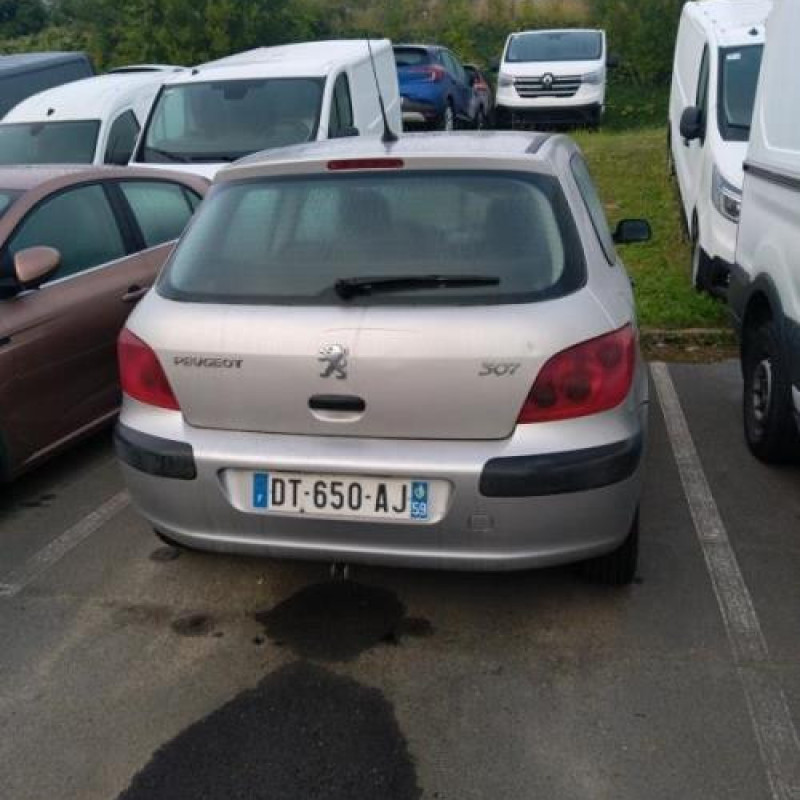 Porte avant droit PEUGEOT 307 Photo n°5