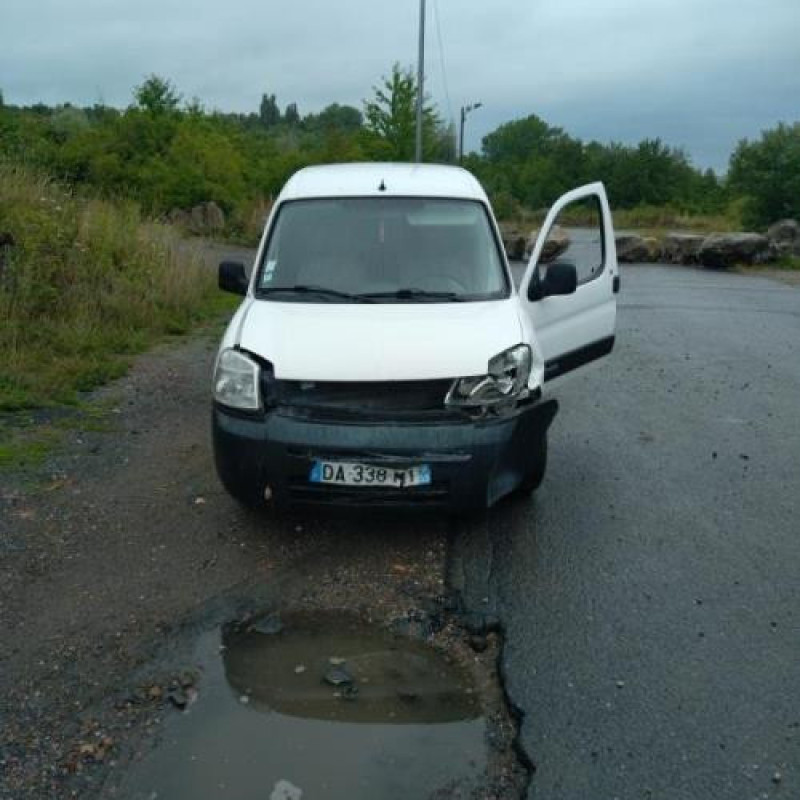 Porte avant droit CITROEN BERLINGO 1 Photo n°9