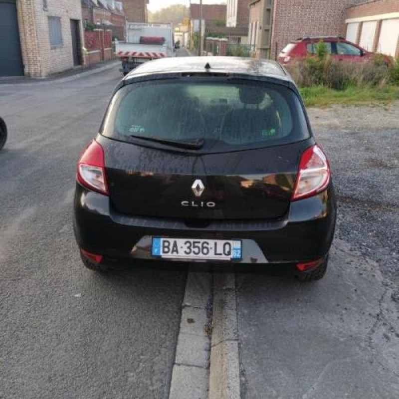 Porte avant gauche RENAULT CLIO 3 Photo n°10