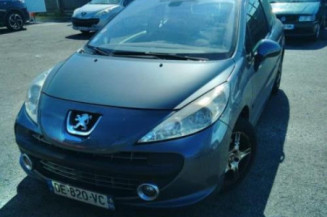 Malle/Hayon arriere PEUGEOT 207