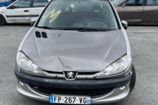 Debitmetre PEUGEOT 206