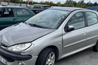 Debitmetre PEUGEOT 206