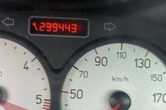 Debitmetre PEUGEOT 206