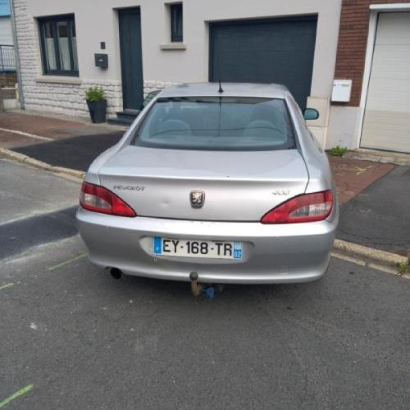 Malle/Hayon arriere PEUGEOT 406 Photo n°13