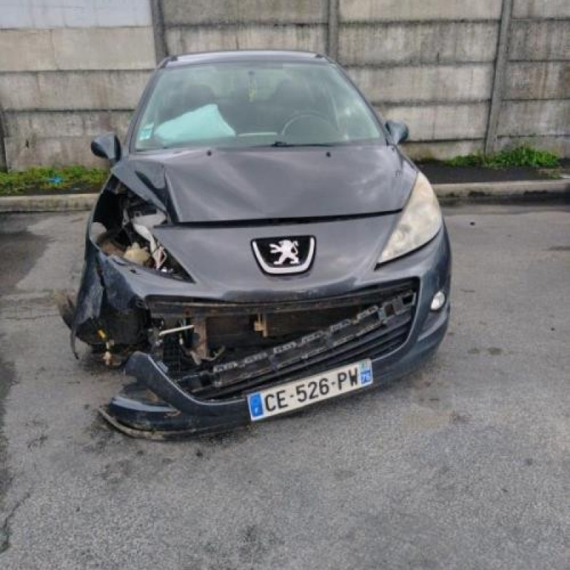 Porte avant droit PEUGEOT 207+ Photo n°7