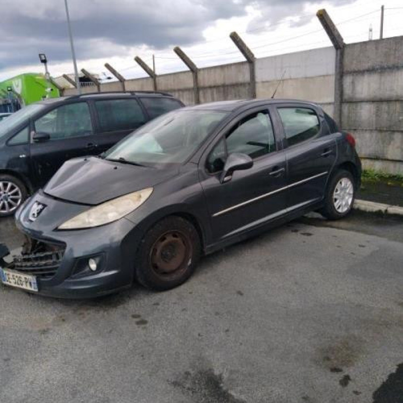 Porte avant droit PEUGEOT 207+ Photo n°9