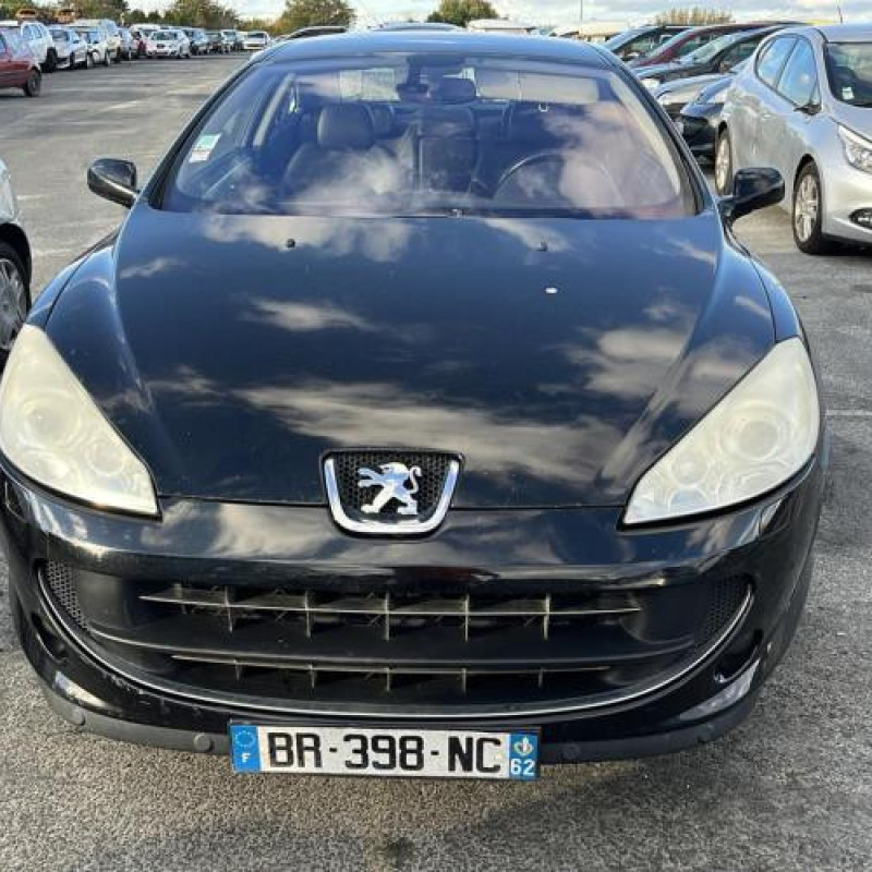 Custode arriere droit PEUGEOT 407 Photo n°4