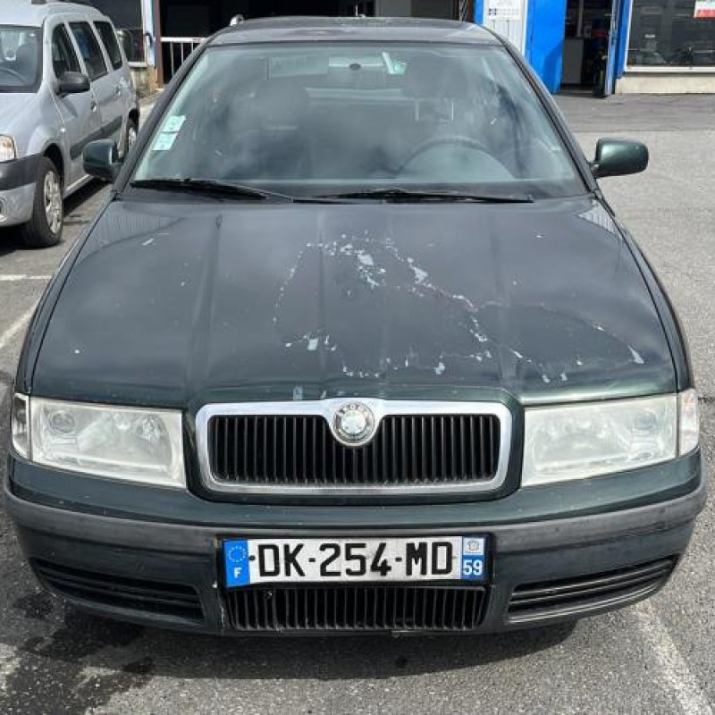 Malle/Hayon arriere SKODA OCTAVIA 1 Photo n°11