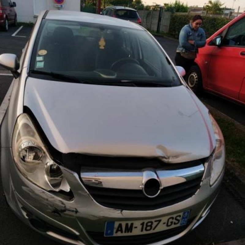 Porte arriere gauche OPEL CORSA D Photo n°11