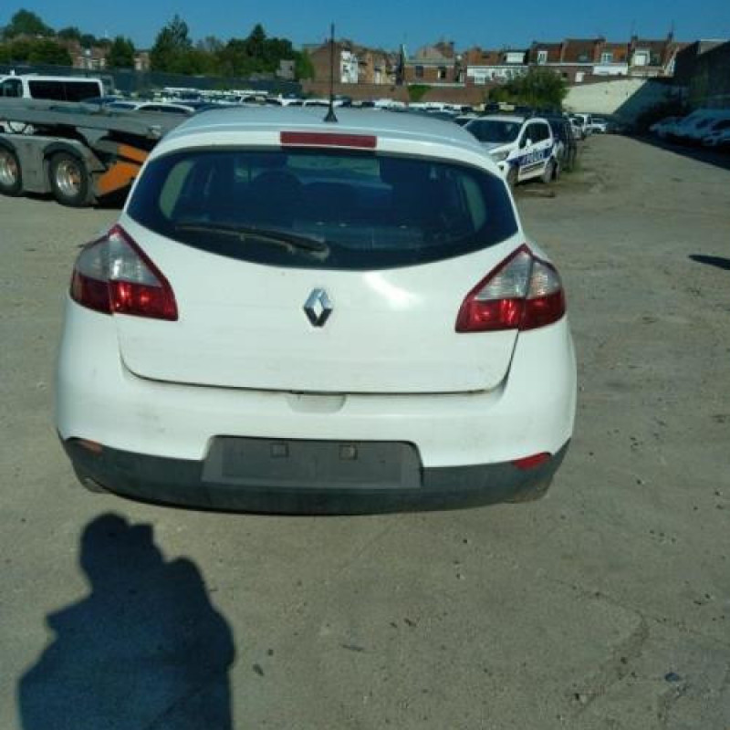 Porte arriere gauche RENAULT MEGANE 3 Photo n°13