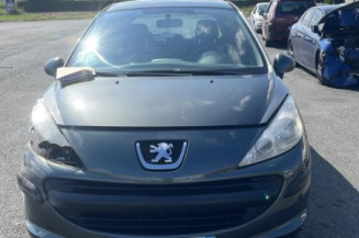 Porte avant gauche PEUGEOT 207