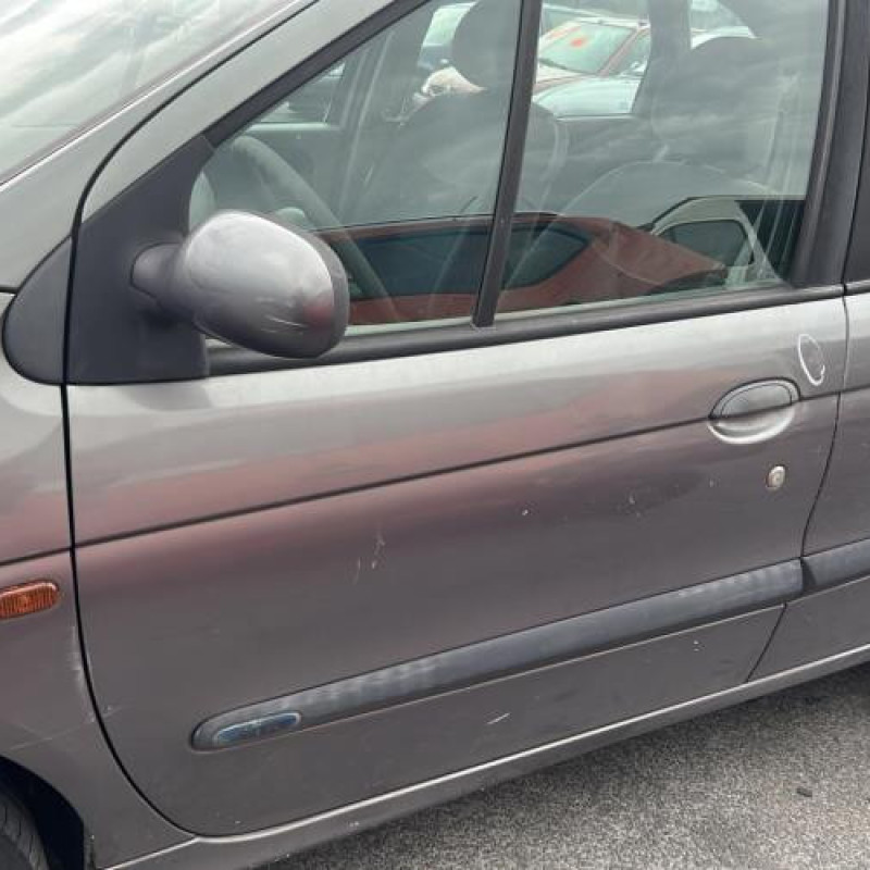 Poignee porte arriere droit RENAULT SCENIC 1 Photo n°7