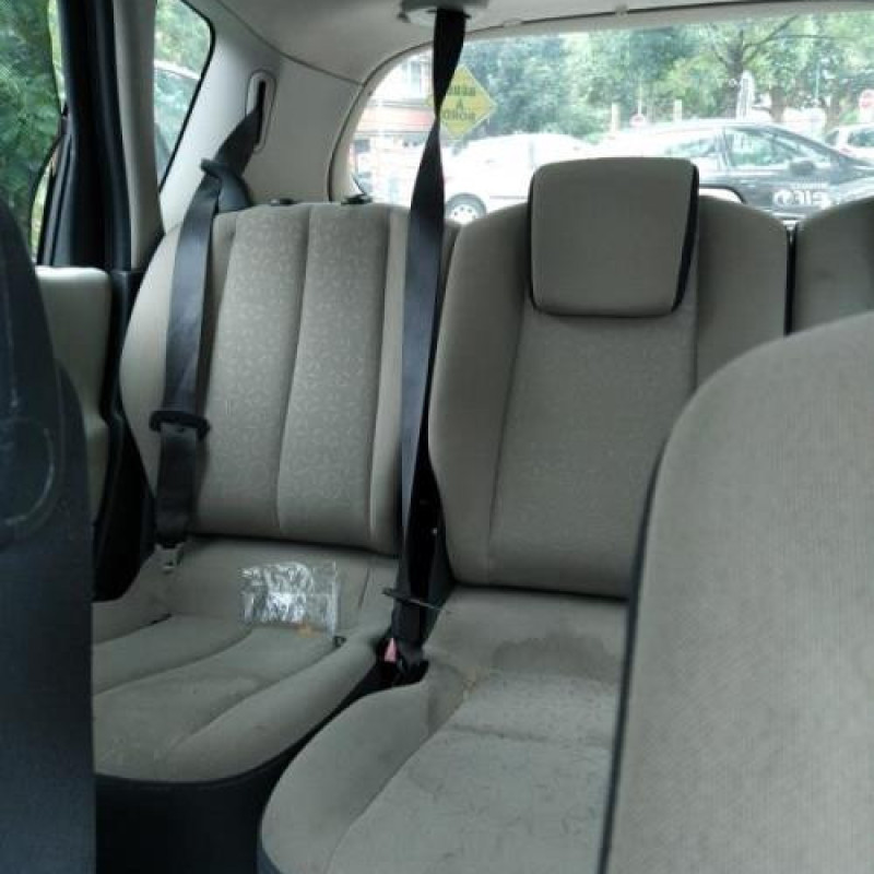 Poignee interieur arriere gauche RENAULT SCENIC 2 Photo n°13