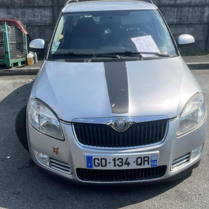 Porte arriere droit SKODA FABIA 2 Photo n°7