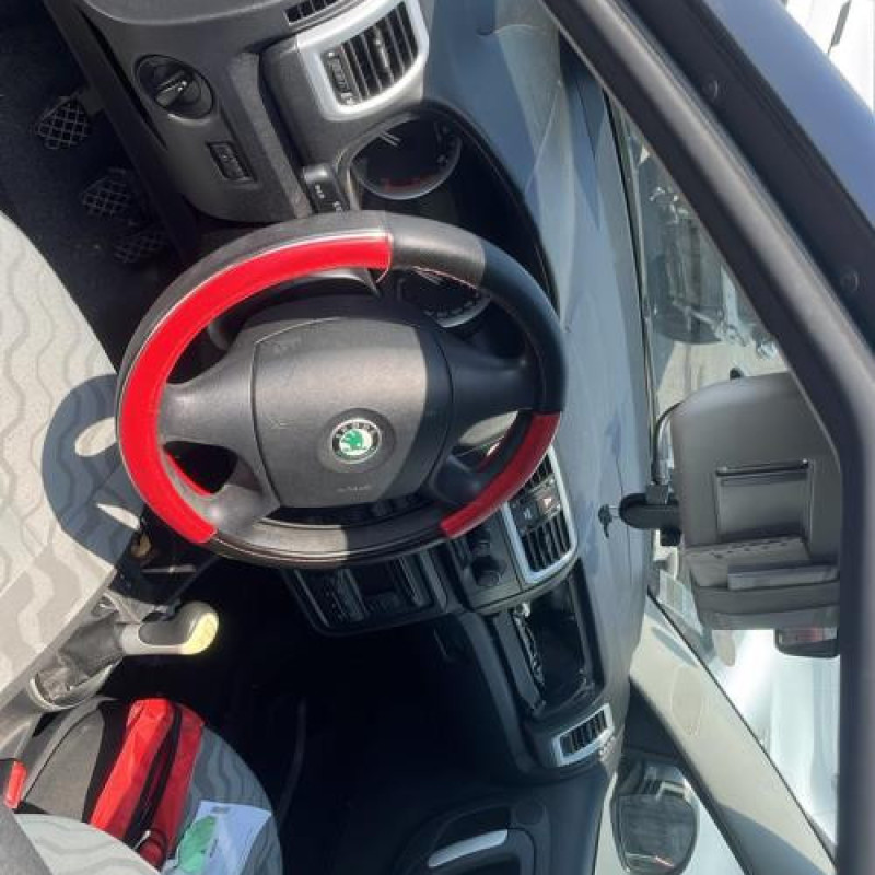 Porte arriere droit SKODA FABIA 2 Photo n°13