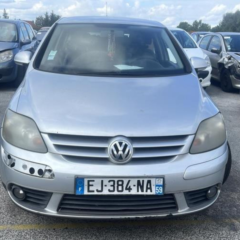 Porte arriere gauche VOLKSWAGEN GOLF PLUS Photo n°10