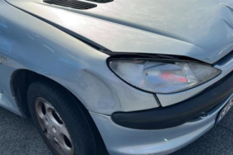 Porte arriere gauche PEUGEOT 206