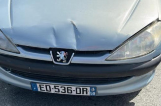 Porte arriere gauche PEUGEOT 206